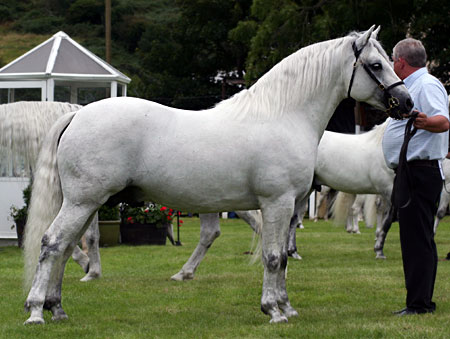 Currachmore Cashel